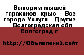 Выводим мышей ,тараканов, крыс. - Все города Услуги » Другие   . Волгоградская обл.,Волгоград г.